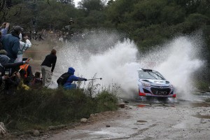 Thierry Neuville - Nicolas Gilsoul Raliul Argentinei 2014 copy