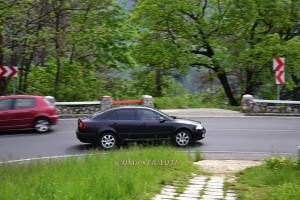 foto_Dan_STRAUTI (4)