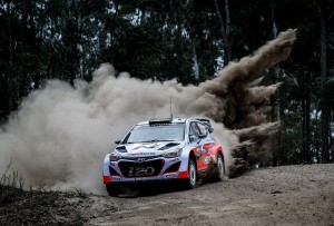 2014 World Rally Championship / Round 10 /  Rally Australia // Worldwide Copyright: Hyundai Motorsport