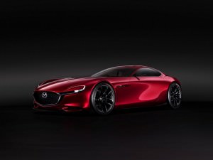 RX-Vision(1)