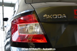 Skoda_Dan_STRAUTI (Copy)