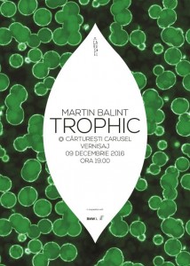 P90244453_lowRes_trophic-art-installa