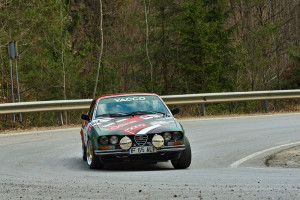 RBV17_06411