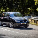 Edi Iacov (3)