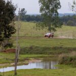 Rally del Paraguay (1)